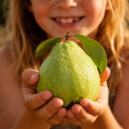 🔥 10K+ SOLD! Tropical Red Guava Seeds