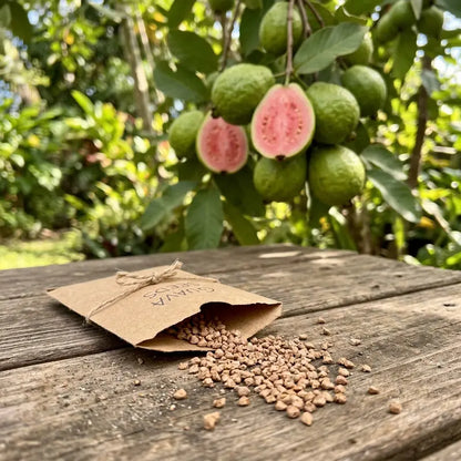 🔥 10K+ SOLD! Tropical Red Guava Seeds