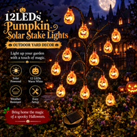 Pumpkin Light