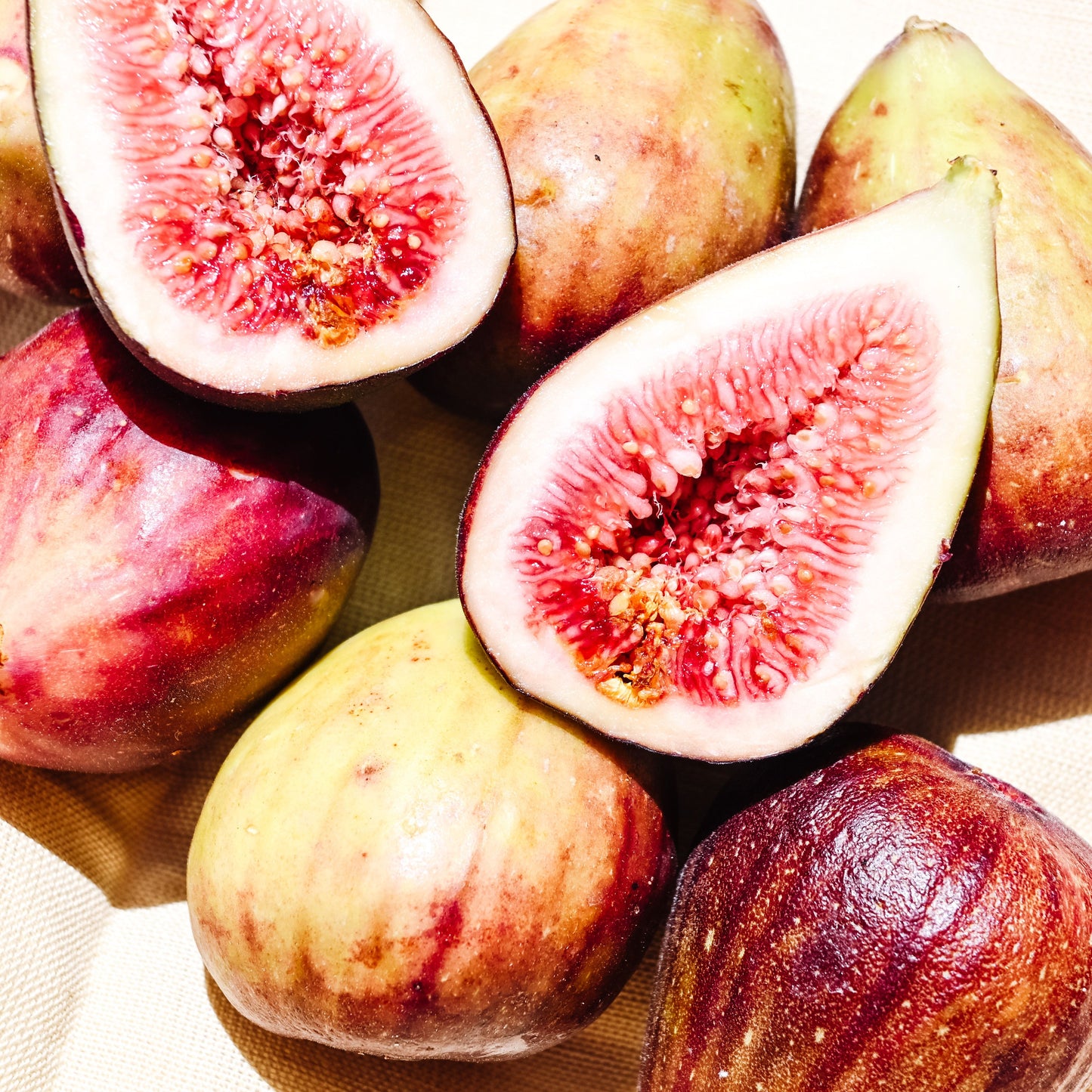 Cold-Hardy Fig Seeds for Abundant Harvests