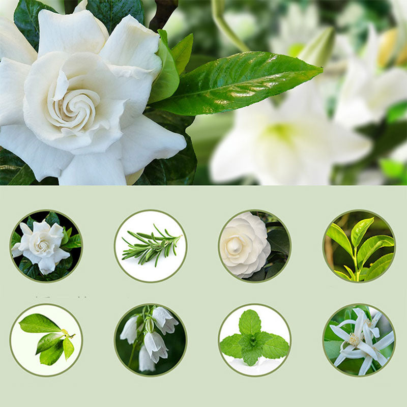 🌿 Automatic Aromatherapy Diffuser – 4-Level Scent Sprayer with Timer, USB-Powered
